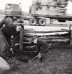 Listing cover image